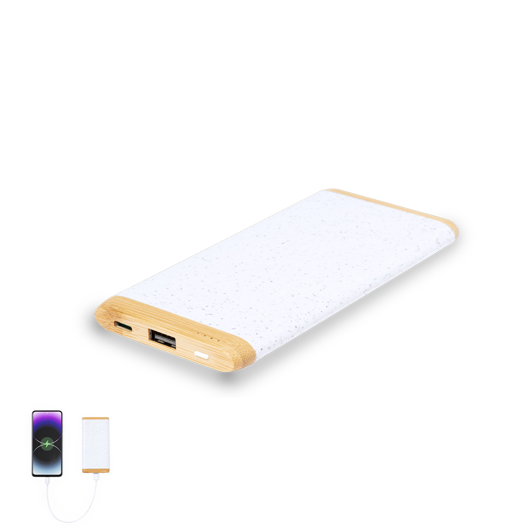 Power Bank Coquin