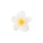 GIF 360