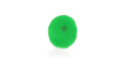 GIF 360